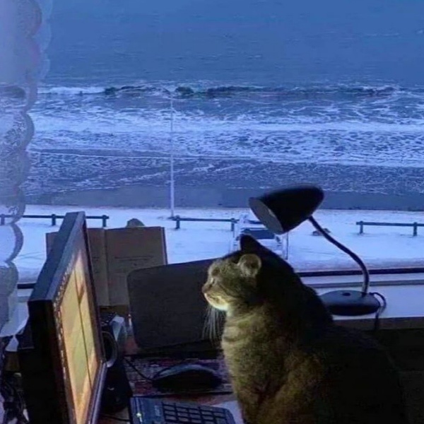 Muhammed Sinan Malik